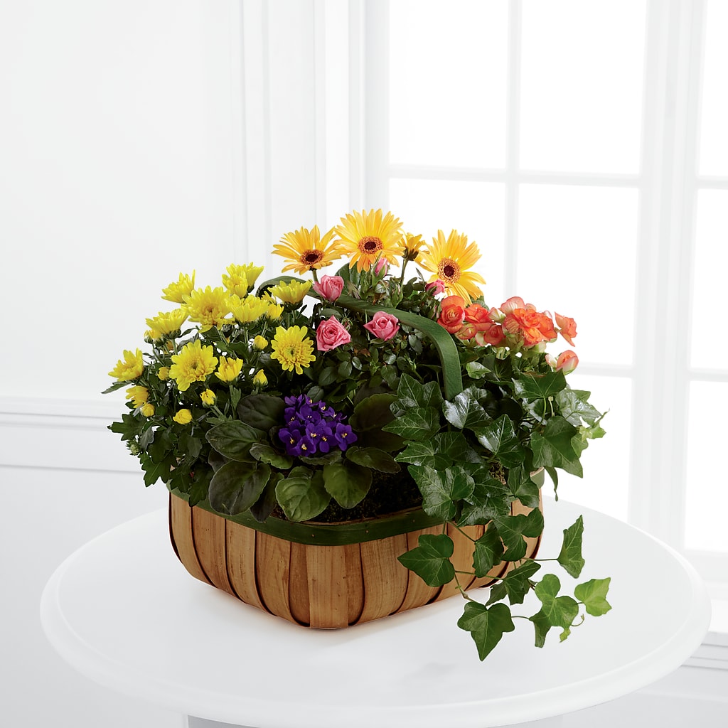 Gentle Blossoms Basket – D Florals, Jacksonville FL
