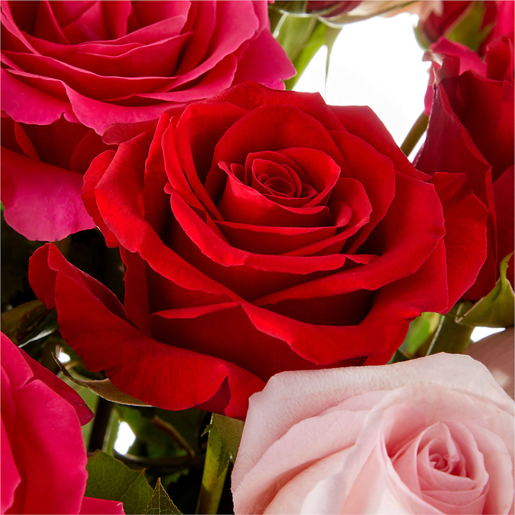 Love Notes Rose Bouquet – D Florals, Jacksonville FL