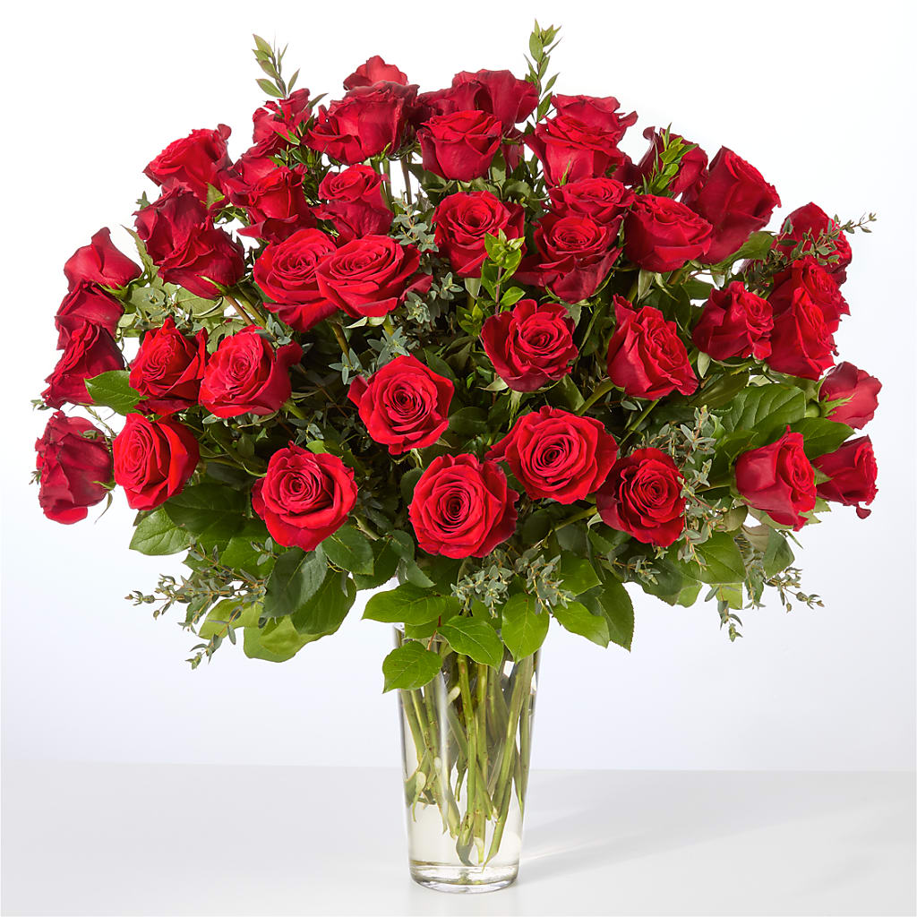 Forever Yours Fifty Stem Red Rose Bouquet – D Florals, Jacksonville FL