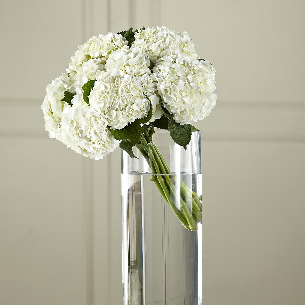 White Hydrangea Hand-Tied Bouquet – D Florals, Jacksonville FL