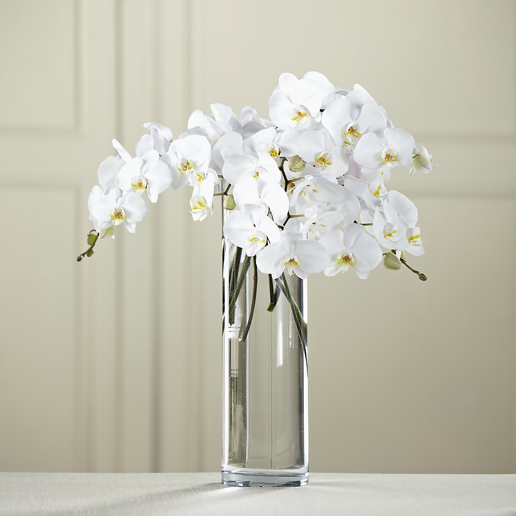 White Phalaenopsis Bouquet – D Florals, Jacksonville FL