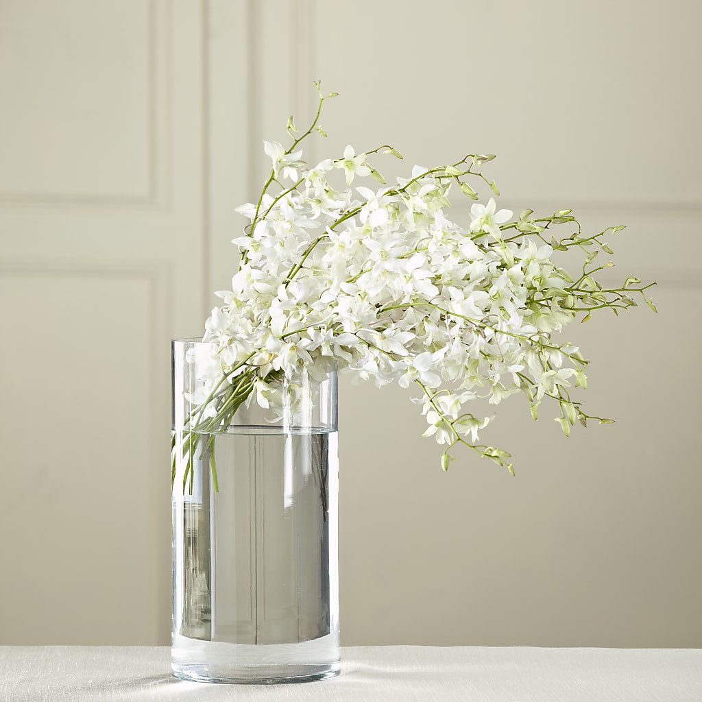 White Dendrobium Bouquet – D Florals, Jacksonville FL