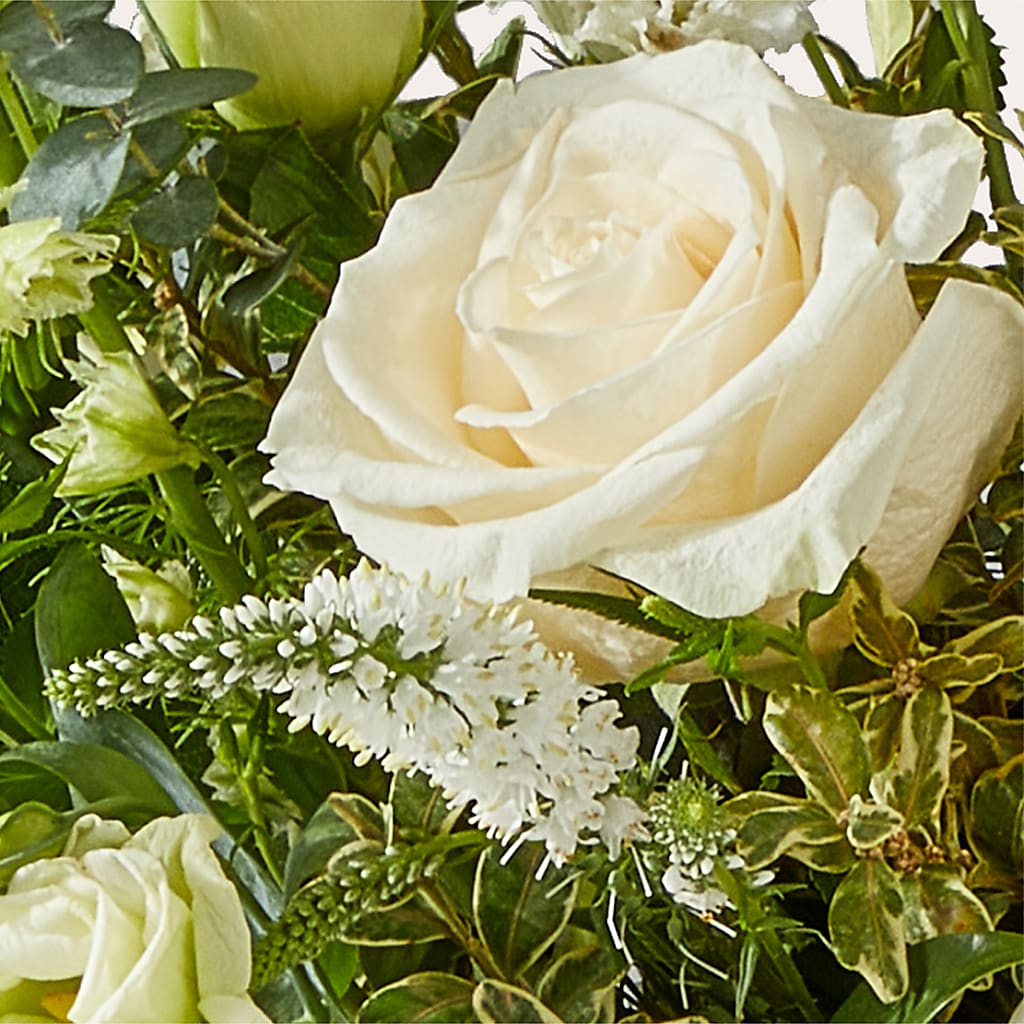 Cashmere Bouquet –  D Florals, Jacksonville FL