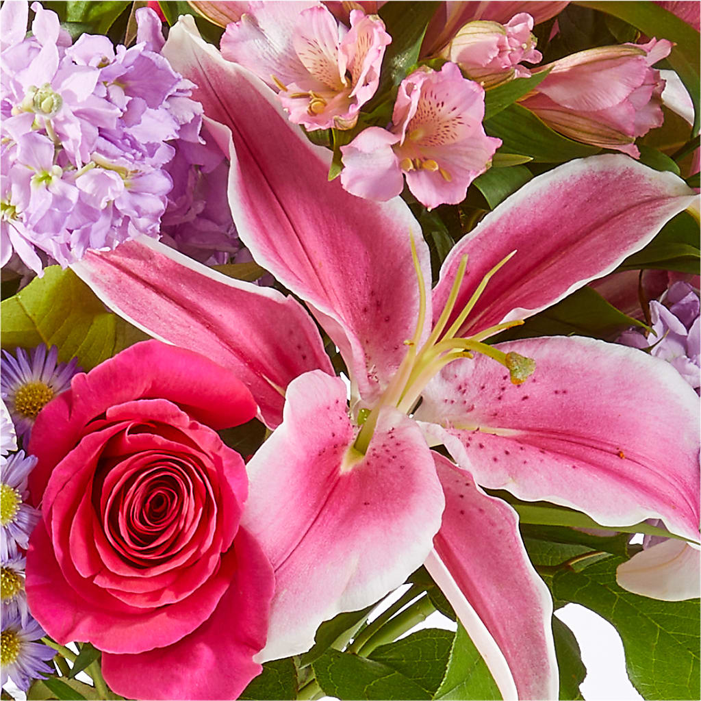 Written in the Stars Bouquet –  D Florals, Jacksonville FL