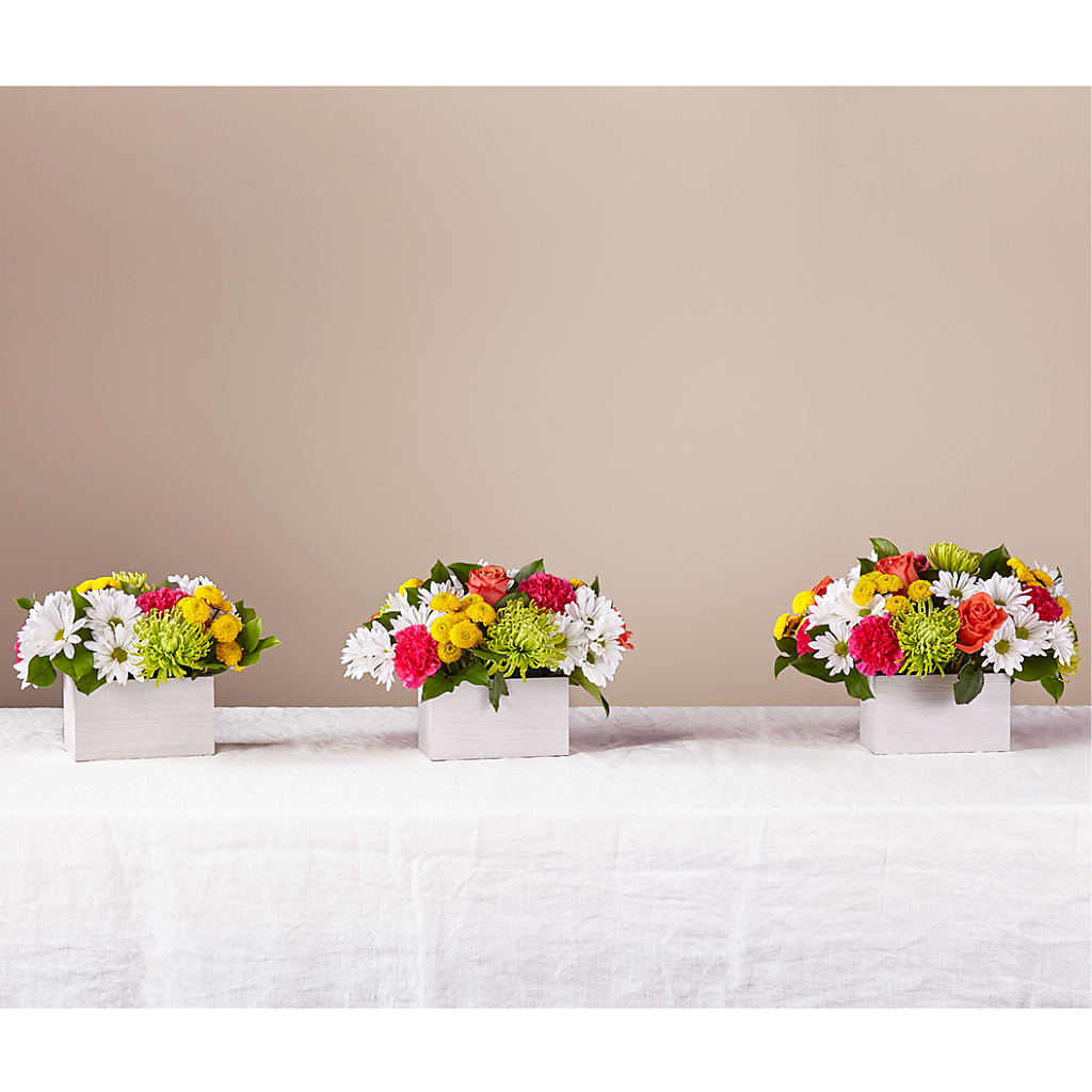 Sorbet Bouquet –  D Florals, Jacksonville FL