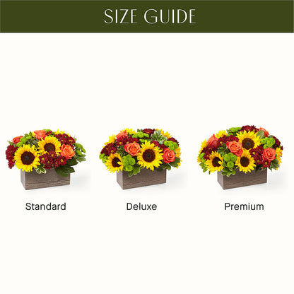 Happy Harvest Garden –  D Florals, Jacksonville FL