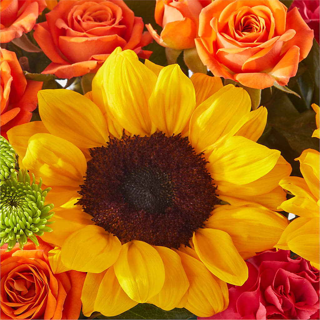 Sun-drenched Blooms Box Bouquet –  D Florals, Jacksonville FL