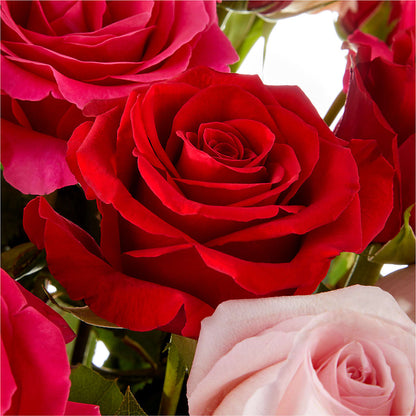 Love Notes Rose Bouquet –  D Florals, Jacksonville FL