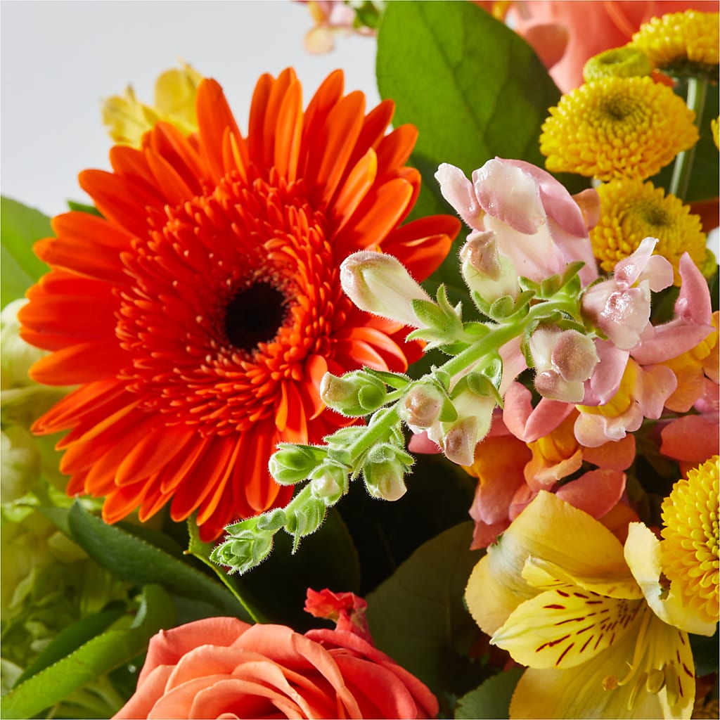Autumn Sunshine Bouquet –  D Florals, Jacksonville FL