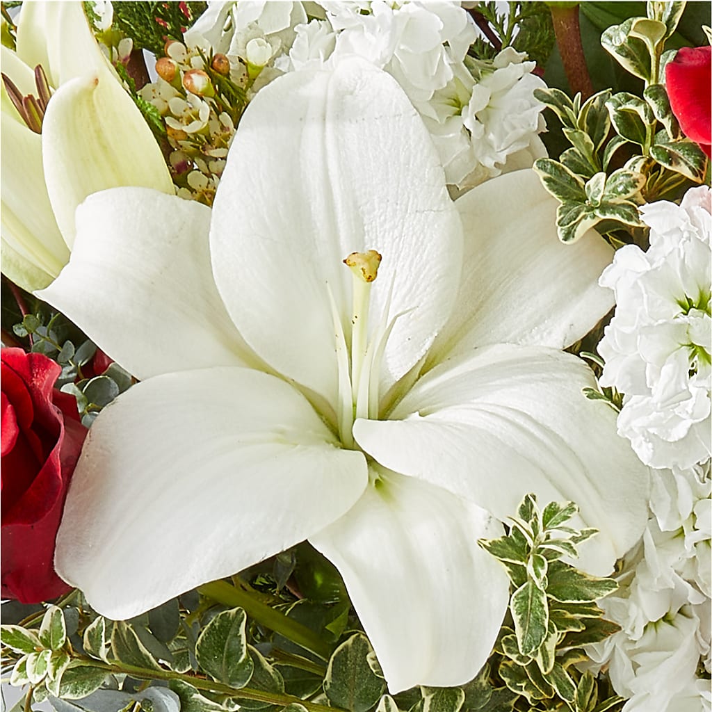 Twinkle Lights Bouquet –  D Florals, Jacksonville FL