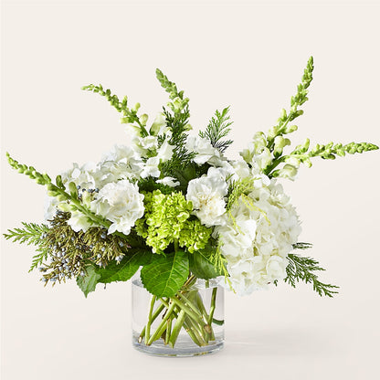 Marshmallows on Top Bouquet –  D Florals, Jacksonville FL