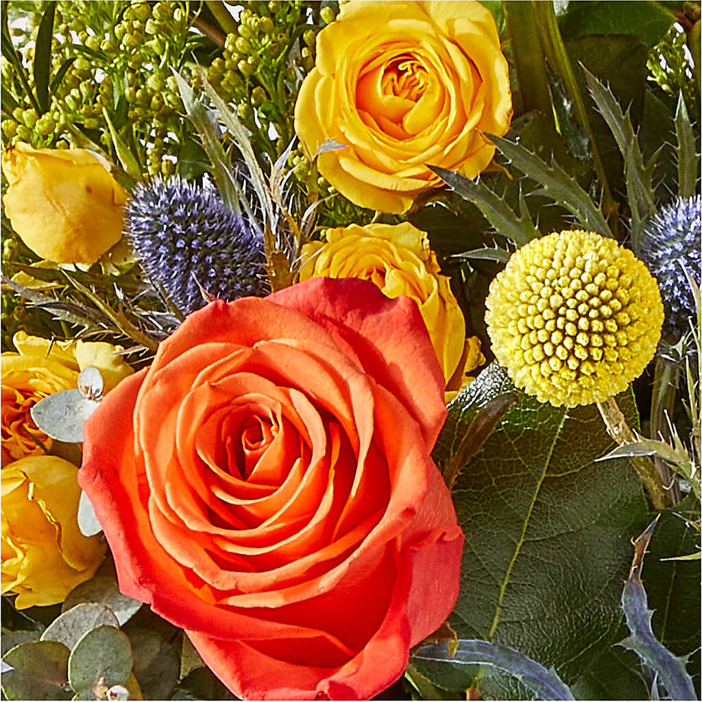 Disco Bouquet –  D Florals, Jacksonville FL