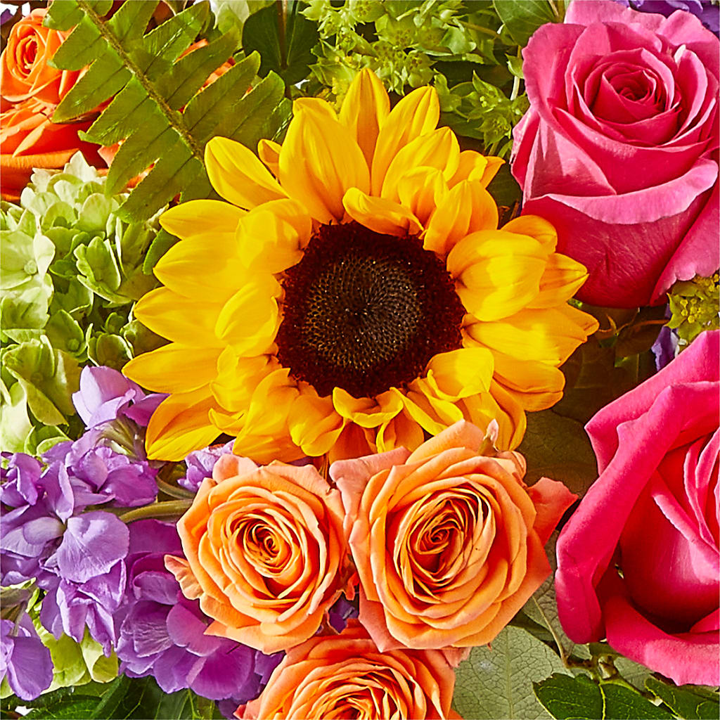 Vibrant Greetings Bouquet –  D Florals, Jacksonville FL
