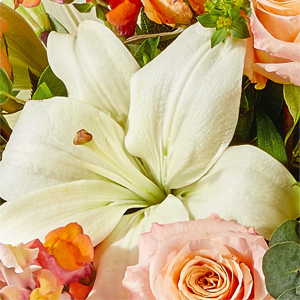 Grapefruit Splash Bouquet –  D Florals, Jacksonville FL