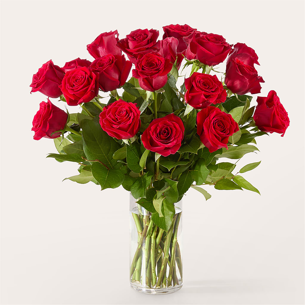 The One Red Rose Bouquet –  D Florals, Jacksonville FL
