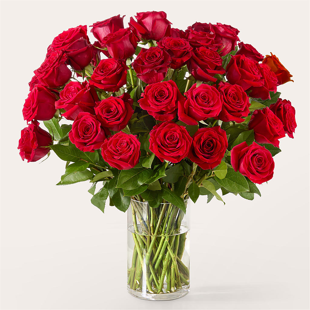 The One Red Rose Bouquet –  D Florals, Jacksonville FL