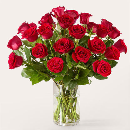 The One Red Rose Bouquet –  D Florals, Jacksonville FL