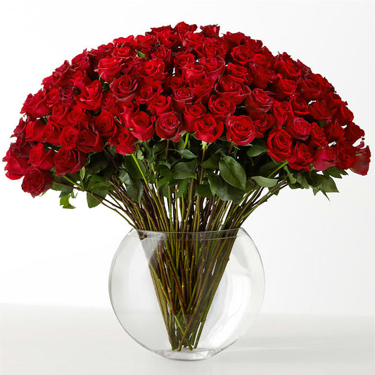 The Idealist –  D Florals, Jacksonville FL