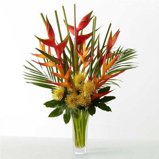 The Drama –  D Florals, Jacksonville FL