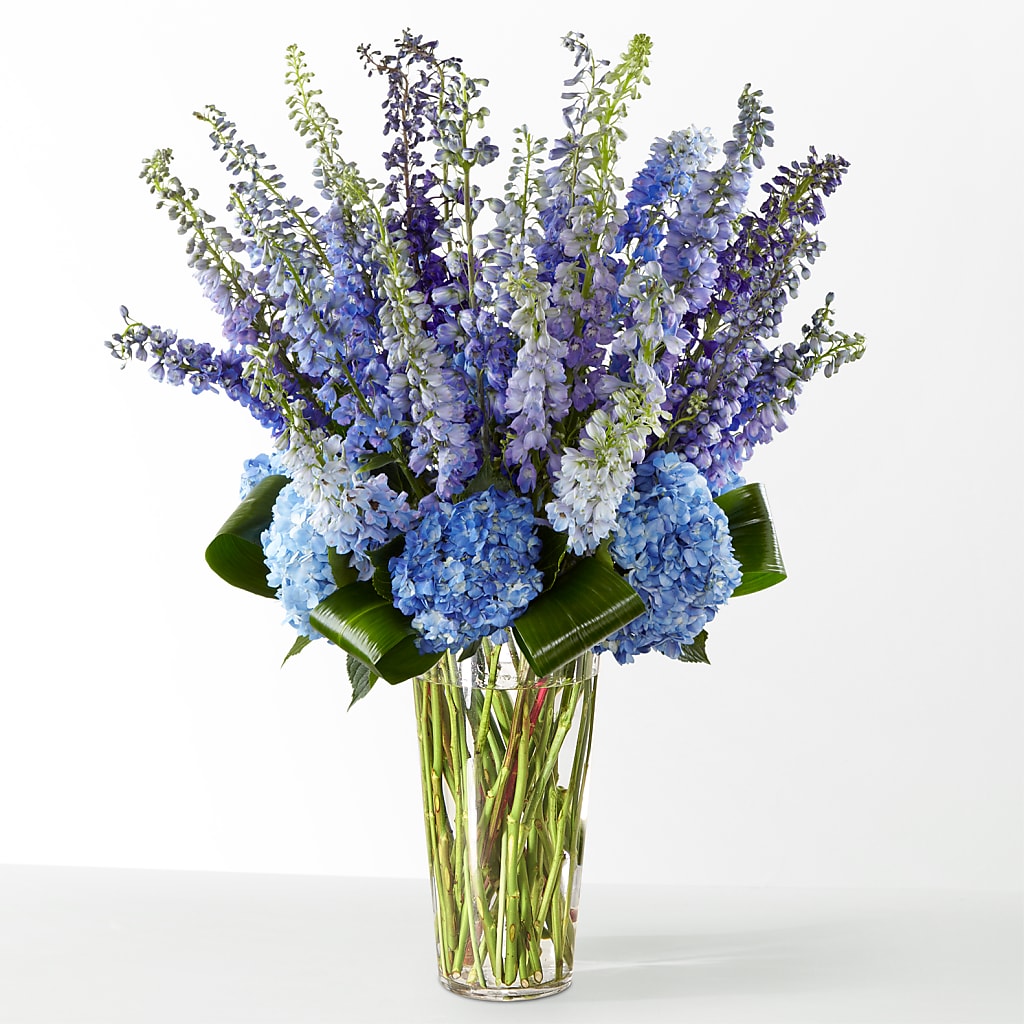 The Editorial –  D Florals, Jacksonville FL