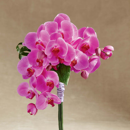 Glorious Bouquet –  D Florals, Jacksonville FL