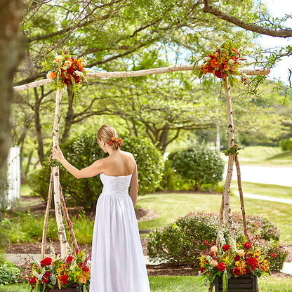 Arbor of Love Archway –  D Florals, Jacksonville FL