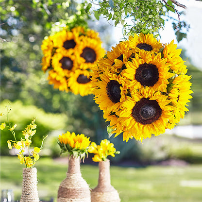 Sublime Garden Hanging Arrangement –  D Florals, Jacksonville FL