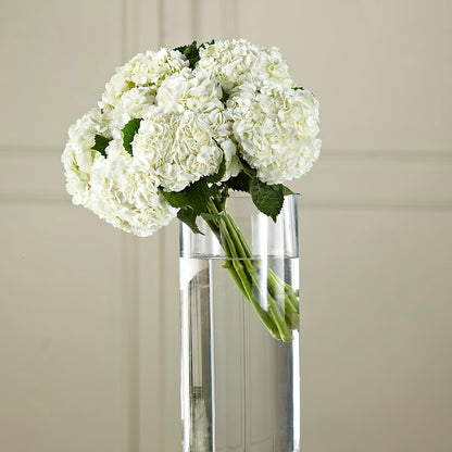 White Hydrangea Hand-Tied Bouquet –  D Florals, Jacksonville FL