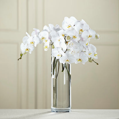 White Phalaenopsis Bouquet –  D Florals, Jacksonville FL